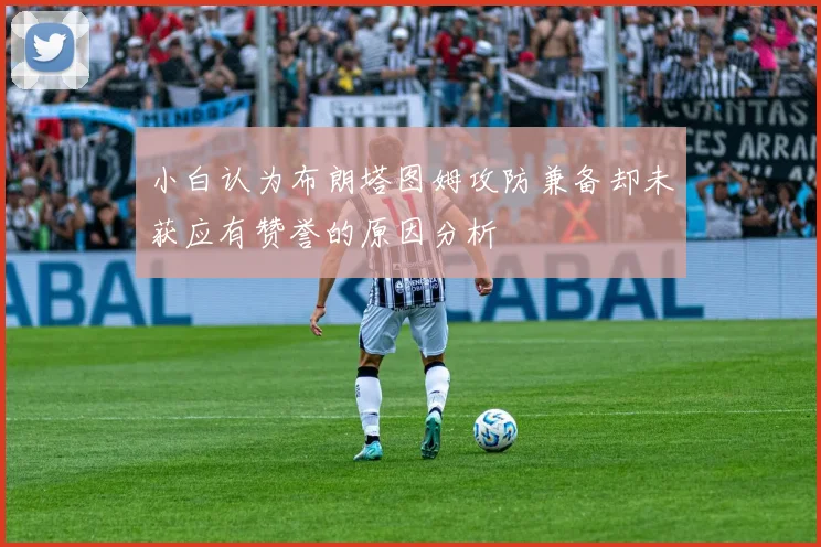 小白认为布朗塔图姆攻防兼备却未获应有赞誉的原因分析